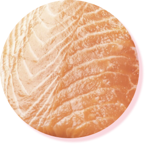 Salmone