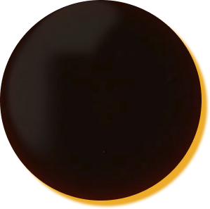 Ponzu