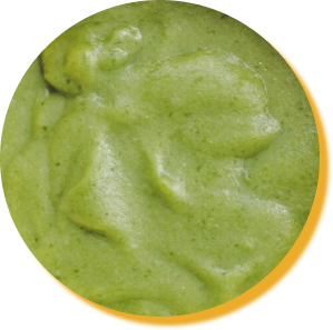 Crema di Zucchine e menta