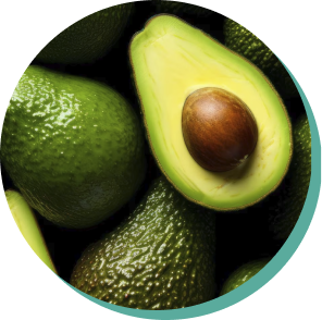 Avocado
