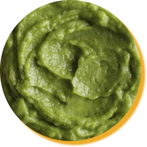 Guacamole TP