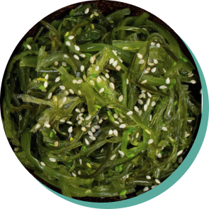 Alga Wakame
