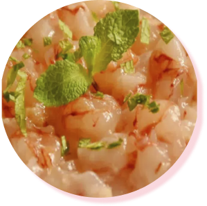 Tartare di Gambero
